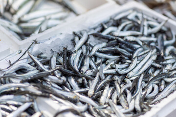 A vibrant display of freshly caught silver fish rests on ice, ready for sale in a busy market. The early morning ambiance creates a lively atmosphere, enticing shoppers.