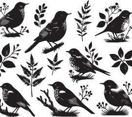 Black and White Bird Silhouettes Vector Art: Vintage Style Illustration of Songbirds, Ferns, and Botanical Elements for Graphic Design Projects