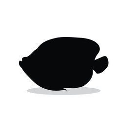 Fish silhouette, Fish Vector illustration, Fish isolated on white background																									