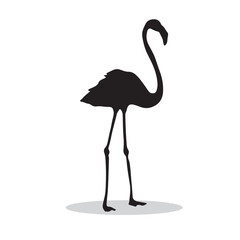 Flamingo silhouette, Flamingo Vector illustration, Flamingo isolated on white background																		