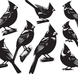 Cardinal Bird Silhouettes: Vector Illustration of North American Songbirds in Woodcut Style, Wildlife Art Print, Ornithology Design Elements