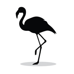 Flamingo silhouette, Flamingo Vector illustration, Flamingo isolated on white background																		
