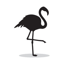 Flamingo silhouette, Flamingo Vector illustration, Flamingo isolated on white background																		