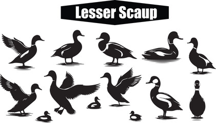 Lesser Scaup Duck Silhouette Vector Art: Black and White Illustration of Aquatic Birds, Wildlife, Ornithology, and Birdwatching Graphic Design