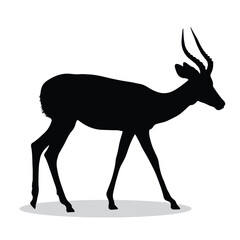 Gazelle silhouette, Gazelle Vector illustration, Gazelle isolated on white background																