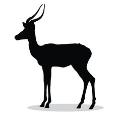 Gazelle silhouette, Gazelle Vector illustration, Gazelle isolated on white background																