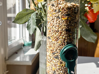 A detailed view of a green seed dispenser filled with a variety of mixed bird seeds, placed on a sunlit surface, ready for feeding birds.