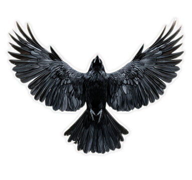 recommend clip art: Black raven with spread wings in flight, isolated on black background