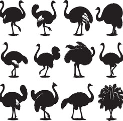 Obraz premium Ostrich Silhouette Vector Set: Black and White Graphic Illustrations of Large Flightless Birds for Design, Print, and Creative Projects