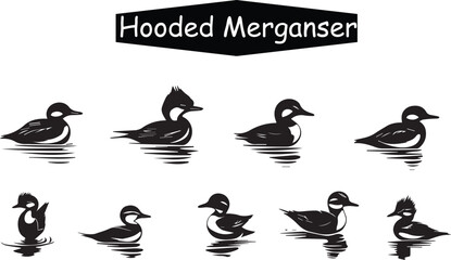 Hooded Merganser Duck Vector Illustration: Black and White Line Art Graphic of Aquatic Birds Swimming in Water, Wildlife Animal Icon Set Design