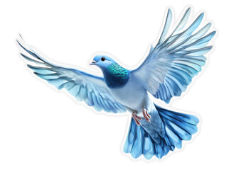 Fototapeta premium Blue dove in flight, isolated on black background