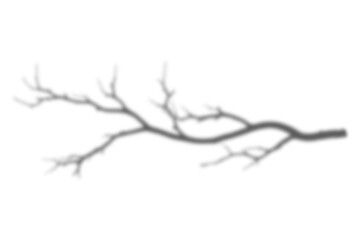 Tree branch png shadow effect, transparent background