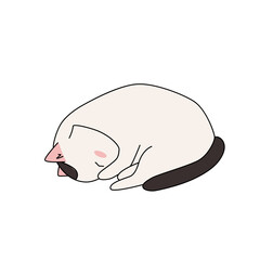 Doodle white cat with black tail lying asleep with its nose hidden. Simple vector illustration isolated