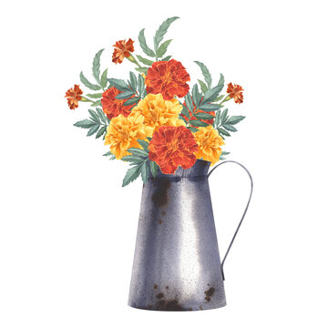 recommend clip art: Bright garden flowers in a metal jug. Marigolds in a vintage coffee pot. Watercolor illustration of yellow and red tagetes in a vase. Floral composition for card, textile, packaging, label