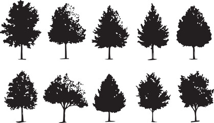 Set Trees. Hand drawn vector illustration	