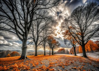 Fototapeta premium A tranquil black and white autumn scene featuring bare trees, scattered fallen leaves, and a peaceful atmosphere that captures the essence of the season's beauty.