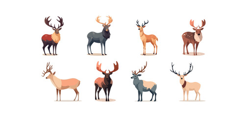 Cervid, reindeer or deer set flat cartoon isolated on white background. Vector isolated illustration © Bamby