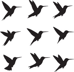 Hummingbird Silhouette Vector: Set of 9 Flying Bird Illustrations, Black and White Graphic Design Elements, Wildlife Art for Crafts and Decor