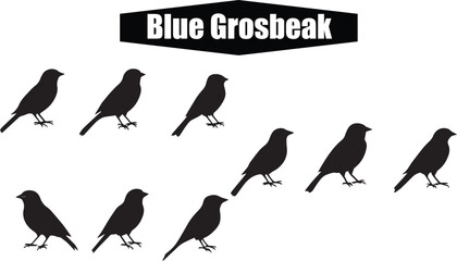 Blue Grosbeak Bird Silhouettes Vector Graphic: Ornithology Illustration of Songbirds in Black and White for Nature and Wildlife Designs
