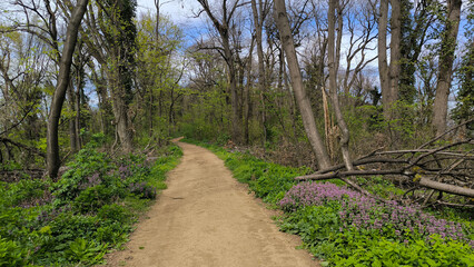 early spring in national park Fruska Gora