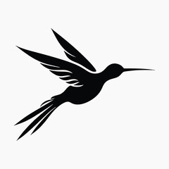 Elegant hummingbird silhouette vector