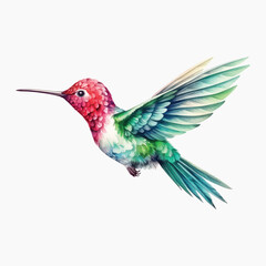 Colorful hummingbird in flight © Rawpixel.com