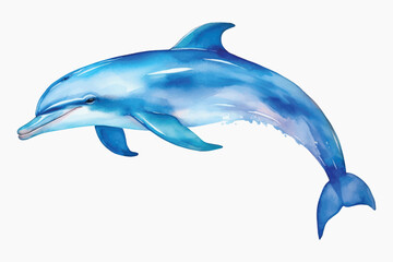 Watercolor dolphin illustration marine art