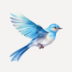 Elegant blue bird illustration