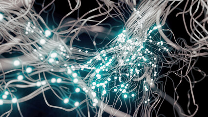 3D Rendering of Neural Connections