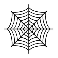 Fototapeta premium spider web
