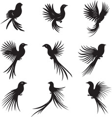 Obraz premium Quetzal Abstract Silhouette Vector Graphics Pack