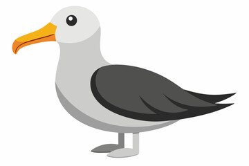  Albatross  sea bird vector art and illustration