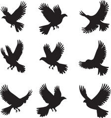 Obraz premium Pigeon Outline Silhouette Graphics Collection