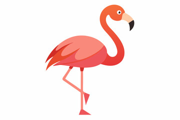 Flamingo Bird vector art and illustration