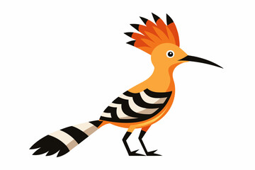  Hoopoe Bird  vector art and illustration