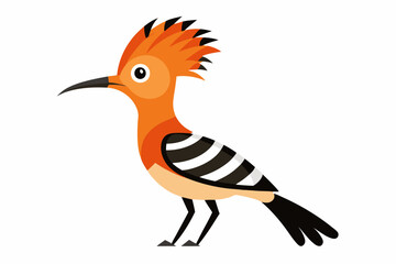  Hoopoe Bird  vector art and illustration