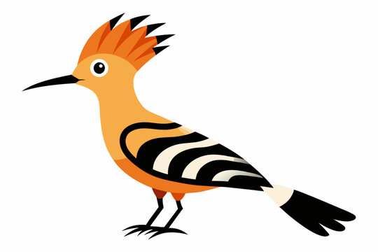 recommend clip art:  Hoopoe Bird  vector art and illustration