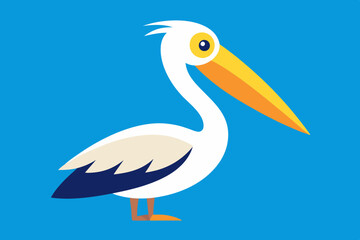  Pelican Bird vector art and illustration