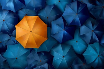 Obraz premium Umbrella, stand out from the crowd, leadership