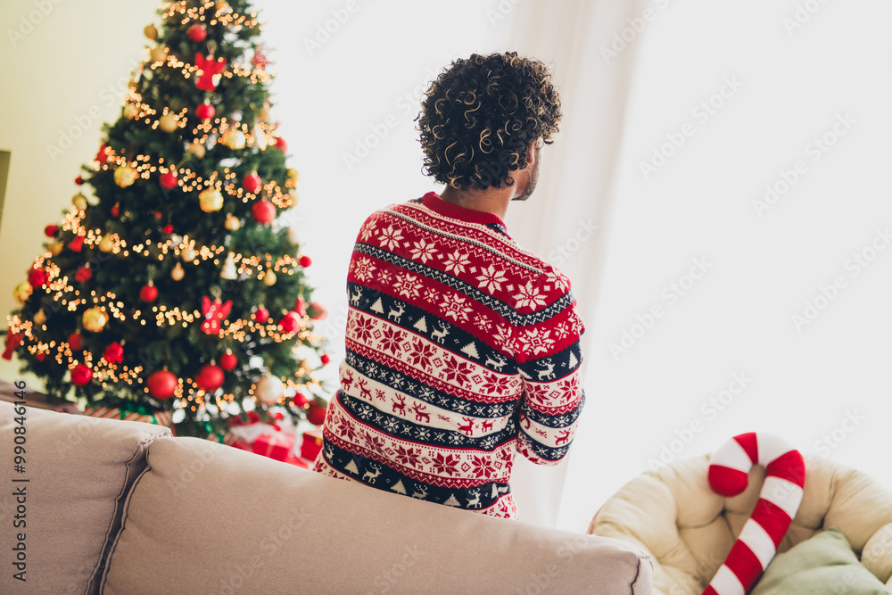 Wall mural Rear photo of nice young man look window fantasize wear christmas pullover festive time apartment indoors