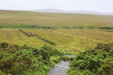 Bogland landscape in Connemara National Park, Ireland