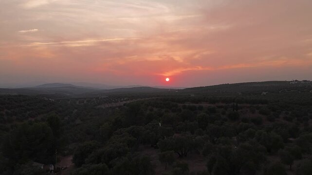 Atardecer 