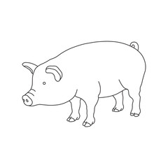 Hand drawn Kids drawing Cartoon Vector illustration pig icon Isolated on White Background
