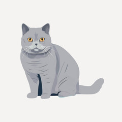 Cute gray cat sitting illustration