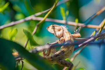 Close up of a brown lizard perched on a green branch with foliage in the background, highlighting the texture and details of its skin in a natural habitat