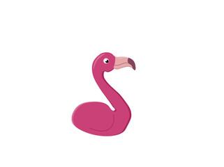 flamingos on a white background