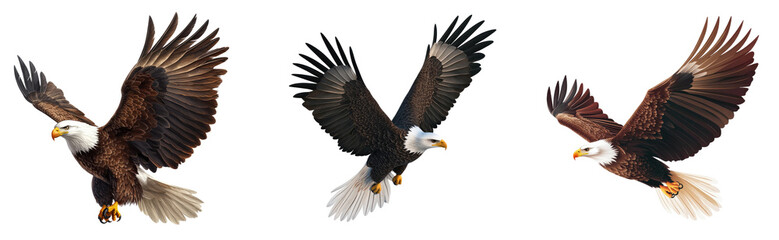 Obraz premium Majestic eagle flying high, wings spread, isolated on a transparent background. A powerful image of nature’s fierce predator, great for wildlife photography and symbolizing freedom.