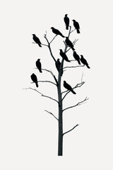 Silhouetted birds perched on tree