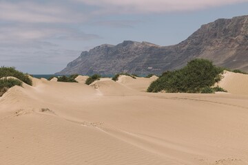 Vista de la playa de Famara y risco de fondo en la isla de Lanzarote 