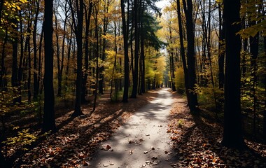 Obraz premium A narrow dirt path winds through a dense forest, with golden autumn leaves carpeting the ground.